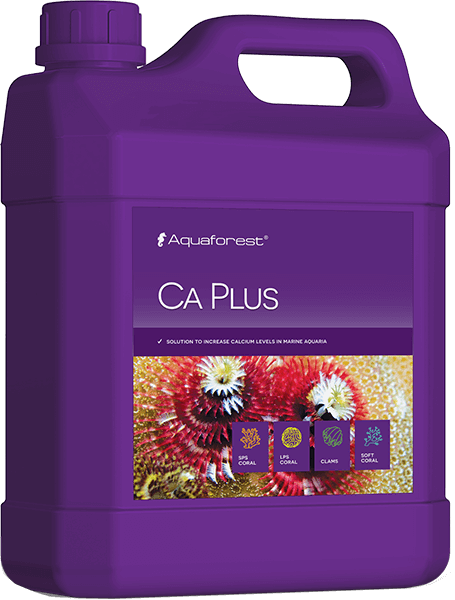Ca_Plus-2-L.png
