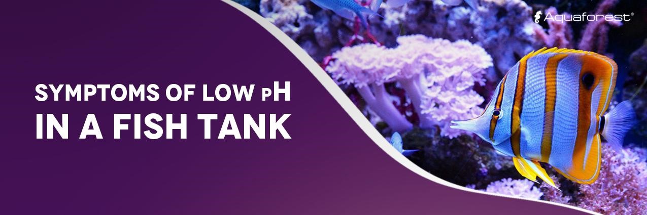 symptoms of low ph in a fish tank