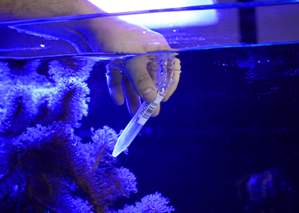 Taking a water sample from the aquarium to conduct an ICP test. This will allow you to measure the salinity of the water.