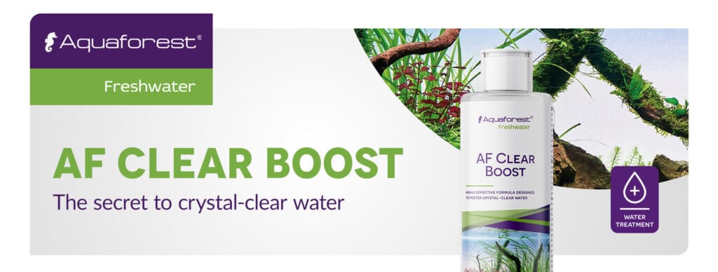 Banner showing AF Clear Boost