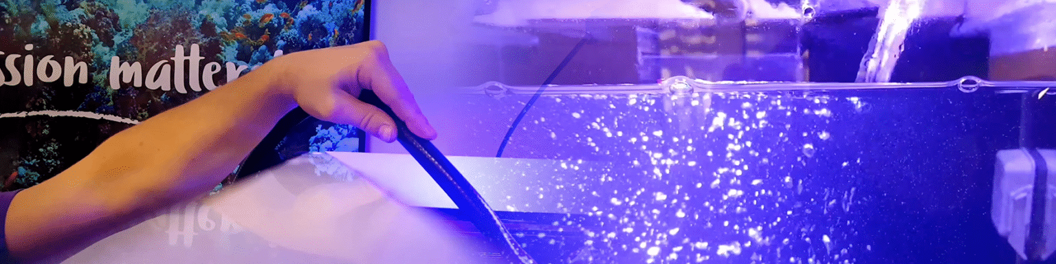 View of Water change in a reef aquarium - how to do it safely? | Aquaforest