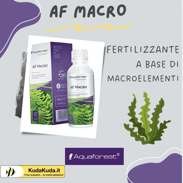 🌿✨ Fertilizza le tue piante come mai prima d’ora con AQUAFOREST AF Macro! ✨🌿

Vuoi un acquario rigoglioso e sano? AF Macro di Aquaforest è la soluzione perfetta per fornire tutti i nutrienti essenziali alle tue piante acquatiche. Formula completa e bilanciata per supportare la crescita vigorosa, colori brillanti e una vegetazione incredibile. 💧🌱

Che tu sia un appassionato o un esperto, AF Macro ti aiuterà a trasformare il tuo acquario in un’oasi verde e spettacolare! 🐠💚

Dai alle tue piante tutto quello di cui hanno bisogno! Provalo ora!

📦 Link in bio per saperne di più e acquistare

#AQUAFOREST #AFMacro #FertilizzanteAcquario #AcquarioPiante #AcquarioNaturale #Aquascaping #PianteAcquatiche #Acquari #Acquariologia #AquariumLife #AquariumLovers #AquariumDesign #AquariumCare #AquariumStyle #AquariumPlants #AquascapeArt #AquariumCommunity #FertilizzantiPiante #AquariumSetup #AquaticPlants #PlantCare #FreshwaterAquarium #FishTankLovers #GreenAquarium #AquariumTips #AquariumFertilizer #AquaticLife #NatureAquarium #AquaLovers #AcquariItaliani