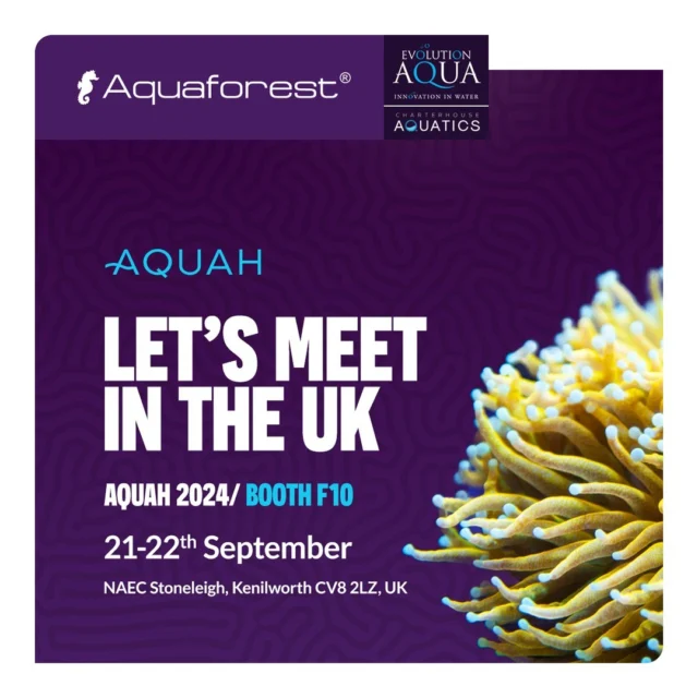 🇬🇧 UK, we’re coming for you!

Join us at Aquah 2024, where we'll be teaming up with our trusted distributor @evolution_aqua and the amazing crew from @charterhouseaquatics!

It’s the perfect opportunity to discuss aquaristics and dive deep into the world of aquarium care.
Aquaforest experts will be available to answer your questions, share knowledge, and provide valuable tips.

We can’t wait to see you there! 💜

#aquaforest #aquah #aquah2024 #aquaevents #poweredbyaquaforest #uk #event #reefers4reefers #reefaquarium #reef2reef #corals #sps