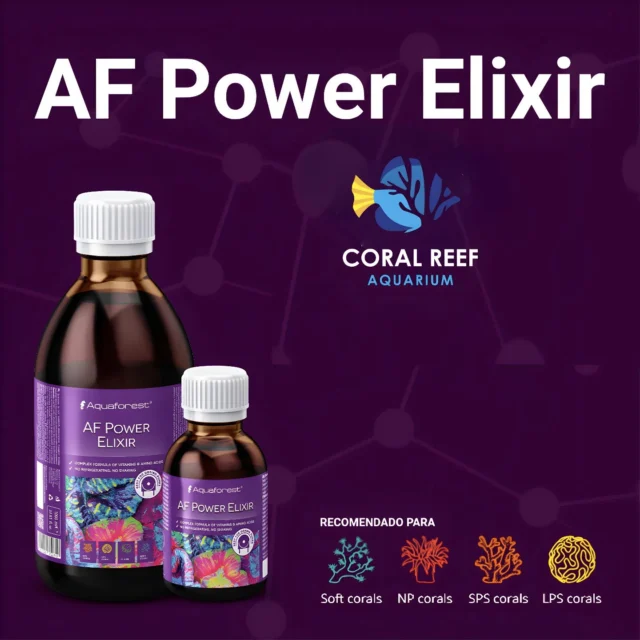 Aquaforest Power Elixir is a proprietary blend of amino acids and vitamins essential to coral growth and coloration. Amino acids, being the building blocks of proteins, provide corals with nutrients to build skeleton structures, develop new tissue, or perform metabolic activities. Therefore, amino acids play an important role in over coral health, digestion, coloration, and polyp extension. Adding vitamins play a supporting role to the amino acids, as well as adding additional nourishment to support a stronger symbiotic relationship between the corals and their zooxanthellae.

Available now #Bahrain #kuwait #kSA #nanotankreef #reeftank #bulkreefsupply #reefaquarium #marineaquarium #saltwateraquarium #aquascape #coralreeftank #reefscape #reefbuilders #Coral #Reef #spscoral #reef2reef #coralreef #lps #seawater #sea #saltwater #salt #aquaforest