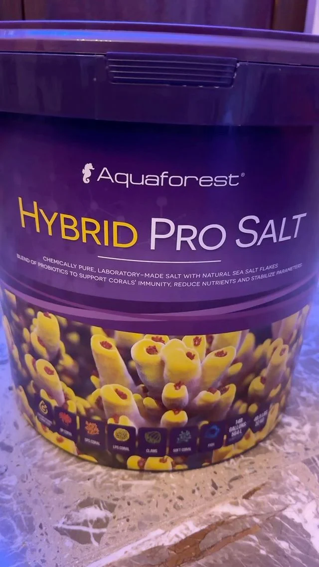 New salt by Aquaforest aquaforest.eu 

🔹🔹🔹🔹🔹🔹🔹🔹🔹🔹🔹🔹🔹

🔹🔹🔹🔹🔹🔹🔹🔹🔹🔹🔹🔹🔹

#reef #reeftank #coral #coralreef #allmymoneygoestocoral #sps #spscoral #lpscorals #ledlights #coralporn #acquarium #coralaxyfarm #reef2reef #reelsinstagram #gnc #faunamarin #aquaforest #reefaquarium #reefaddict #reefaddict #salt #reefsalt