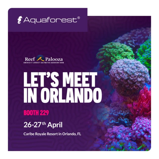 Let’s meet in Orlando! 🇺🇸
Aquaforest will be at Reefapalooza Orlando 2025 – America’s largest saltwater aquarium show!
🗓 April 26–27
📍 Caribe Royale Resort, Orlando, FL
Come visit us at booth #229 and don’t miss our workshop on Reef Filtration.
Can’t wait to see you there! 💜