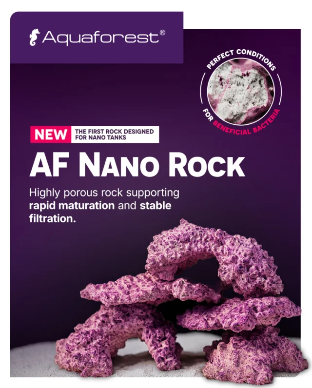 Dream of a tiny piece of the ocean at home? AF Nano Rock is the perfect solution for your nano reef! 🌊

Lightweight, porous, and safe for marine life, this rock provides a stable base, supports beneficial bacteria growth, and speeds up tank maturation. Shape it, arrange it, and create a thriving, healthy nano aquarium. 🐠💜
