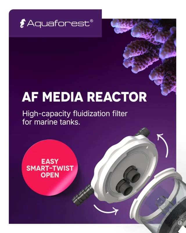 AF Media Reactor – ideal filtration for your aquarium! 💜
Our flow reactor with easy Smart-Twist opening makes media changes effortless, while its leak-proof construction and even flow ensure maximum filtration efficiency.
Works perfectly with carbon, phosphate adsorbents, and zeolites. Its compact size and durability make it a great fit for any aquarium.