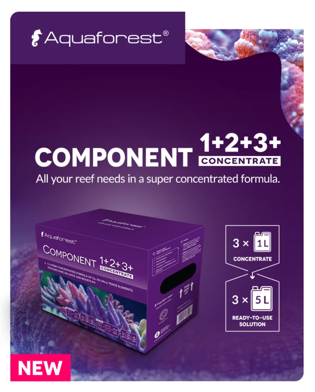 Component 1+2+3+ Concentrate 💜
Three small bottles, which, when mixed separately with RO water, give your corals everything they need – calcium, magnesium, KH, and trace elements. The five-times concentrated formula makes them easy to store and dose.

Watch your corals grow healthy, strong, and full of color!