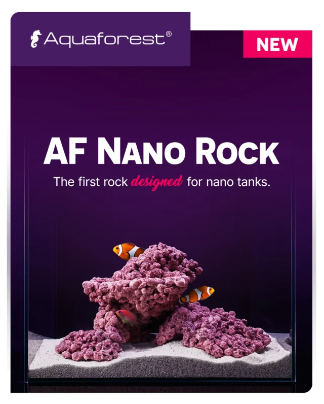 AF Nano Rock 💜
Light, porous, and completely safe – the ideal foundation for your nano reef. Shape your aquascape your way and watch your small ocean flourish 🌊