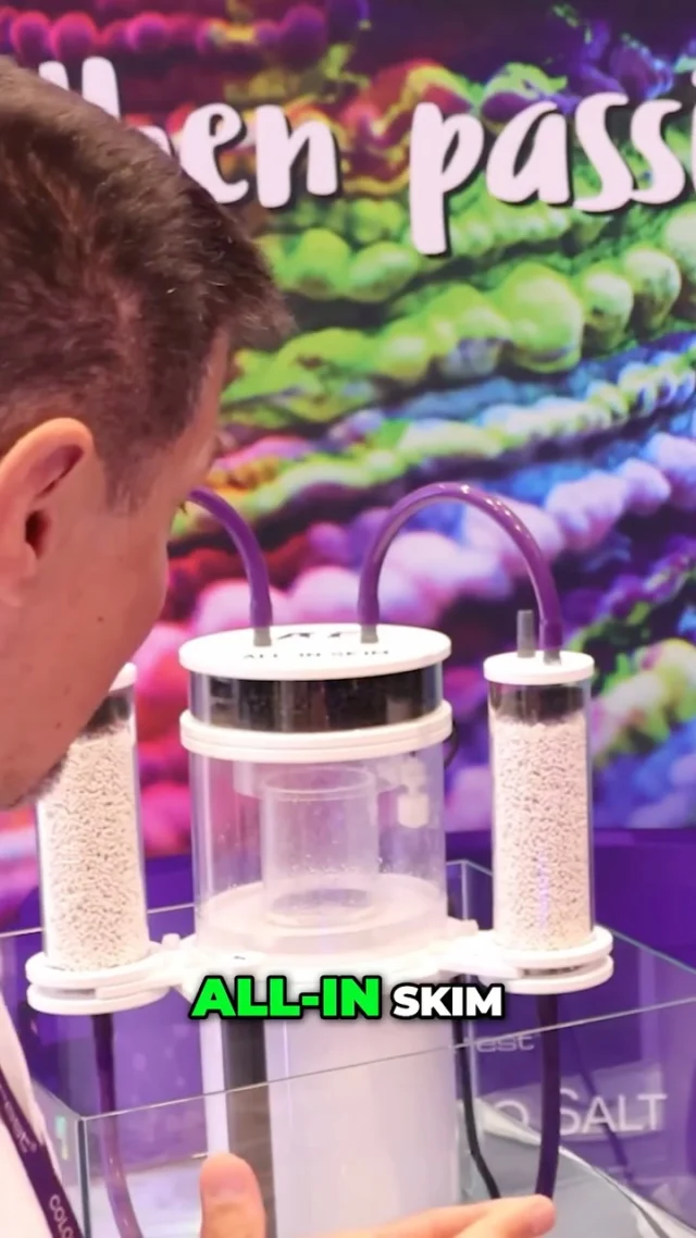 What happens when you combine a protein skimmer, air filter, CO₂ filter, and biological filter in one device? 🤔
You get All-in Skim – our patented, multifunctional filtration system.
In this video, you’ll learn how it works and why it’s a real game changer for reef tanks.
Big thanks to @thecoralreeftalk for the awesome material! 💜
📺 Watch the full video – link in BIO.