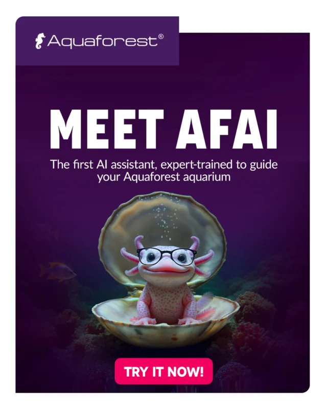 Meet AFAI – Your AI Aquarium Assistant 💜🐠
Powered by Aquaforest knowledge, this personal assistant is available 24/7.
It answers all your aquarium-related questions – from ICP test analysis and product recommendations to diagnosing issues.
With Aquaforest’s vast knowledge base, you’ll get fast, precise, and reliable guidance – no matter your experience level.
Say goodbye to guesswork – it’s time for confidence and clarity in your aquarium.
💡 Ask anything, anytime, in any language.
Your new digital aquarist partner is ready to help.
👉 Try AFAI and discover wisdom straight from the heart of the reef.
Link in bio.