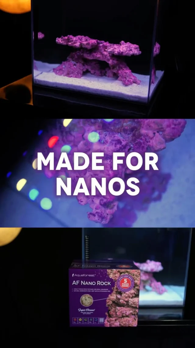 The heart of every nano reef 💜
Check out AF Nano Rock – lightweight, handcrafted, and perfect for creating your own nano reef.
It helps beneficial bacteria grow, keeps your water stable, and makes aquascaping easy.
🎥 Watch the full video on YouTube - link in BIO.