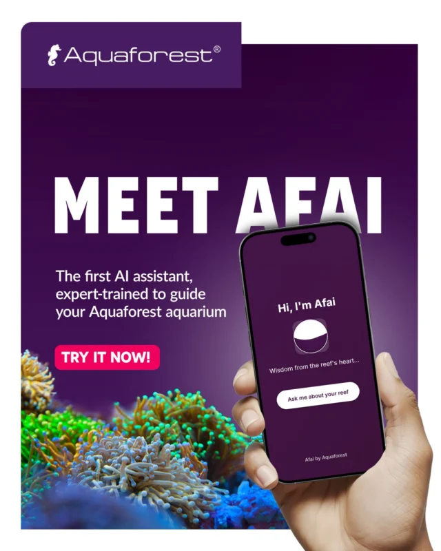 AFAI – your smart aquarium companion! 🐠
Isn’t just a chatbot – it’s a full-fledged digital aquarist, trained on Aquaforest’s vast library of reef knowledge. Whether you’re setting up a new tank, interpreting ICP test results, or tackling aquarium problems, AFAI gives you step-by-step guidance.
📸 Snap a photo of your tank or its inhabitants, and AFAI can help identify potential issues, suggest tailored solutions, and even recommend precise dosing schedules for optimal water chemistry. 
Perfect for beginners and pros alike, AFAI brings professional reef expertise right to your fingertips - available 24/7.
Try it now! 👉 Link in BIO.