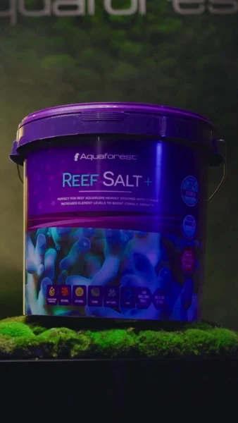 Want your corals to grow healthy and vibrant? 🌊Discover our specialized marine salts – Reef Salt + and Hybrid Pro Salt. Perfectly balanced to support coral health and growth.With them, your tank will become a true reef oasis! 💜