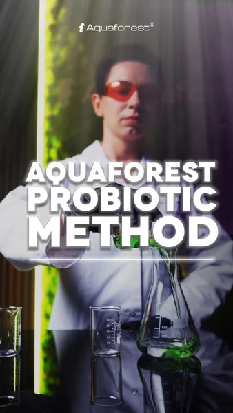 🌊 Aquaforest Probiotic Method

Your aquarium is a closed ecosystem, and healthy corals need a stable biological balance. The probiotics introduced through the Aquaforest method help maintain this balance: they limit harmful microorganisms and actively reduce nitrate and phosphate levels, giving your corals better conditions for growth and coloration.

How it works:
1️⃣ Hybrid Pro Salt – a salt that introduces probiotic bacteria along with vitamins and amino acids, providing the first support for your ecosystem.
2️⃣ Pro Bio S, -NP Pro, and NitraPhos Minus – food for the bacteria, supporting their growth and nutrient control.
3️⃣ Zeo Mix, Phosphate Minus, and Carbon – filtration media that remove excess nutrients and bacteria, keeping the water clean and clear.
4️⃣ ABEV (AF Amino Mix, AF Energy, AF Build, and AF Vitality) – supplements that provide everything your corals need for growth and vibrant colors.

The result? Stable parameters, clear water, and healthy, colorful corals without the constant struggle with algae. 🌟

🔗 Want to learn more? Read our article and watch the full video – links in the BIO.