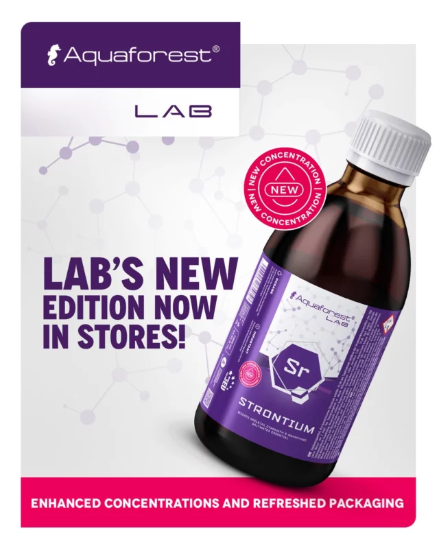 A new chapter for the LAB line. 💜

The changes go beyond the look – every formula has been refined to perform even better and more consistently. 🧪

Designed with precision, stability, and long-term results in mind.
