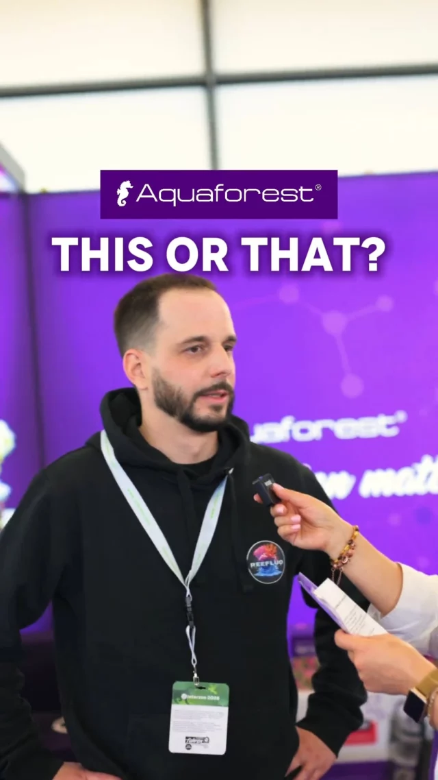 “This or That” with Luigi @reefluo 💜
Quick choices and great vibes from the Aquaforest booth at @interzoo_2026!

#aquaforest #interzoo #reeftank #reefcommunity #reefaquarium #reefing #aquariumhobby