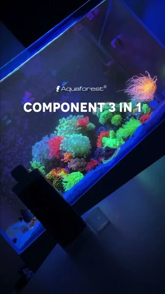 One bottle. Complete reef support. 🪸💜

Component 3in1 combines essential calcium, magnesium, KH, and trace elements in one perfectly balanced formula designed to support coral growth, vibrant coloration, and long-term reef stability.

A simple and convenient way to provide your corals with key elements they need to thrive. 🌊